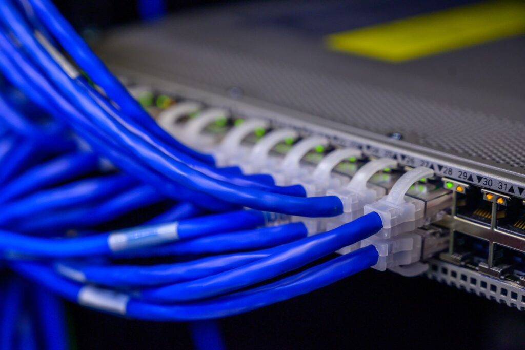 Blue ethernet cables neatly connected to a business network switch